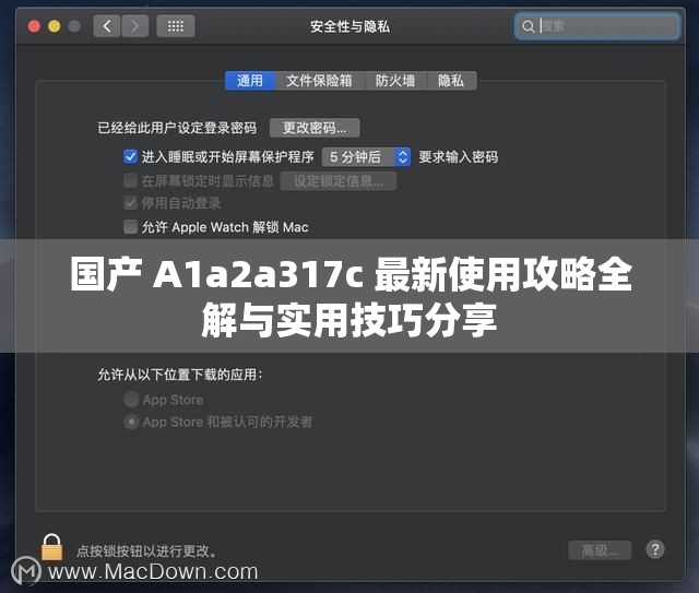 国产 A1a2a317c 最新使用攻略全解与实用技巧分享