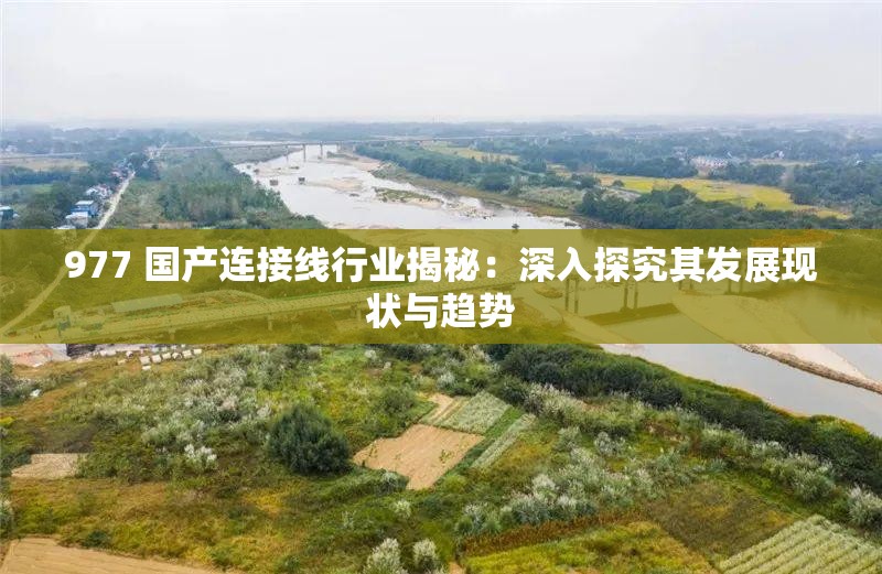 977 国产连接线行业揭秘：深入探究其发展现状与趋势