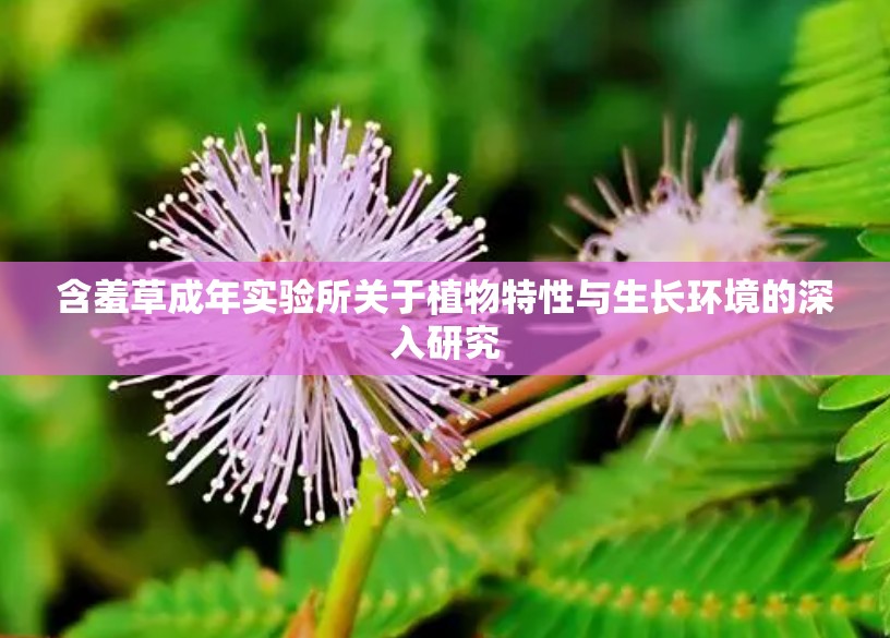 含羞草成年实验所关于植物特性与生长环境的深入研究