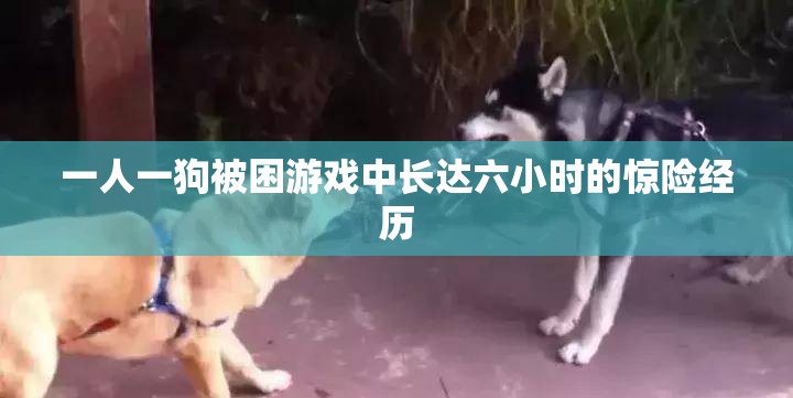 一人一狗被困游戏中长达六小时的惊险经历