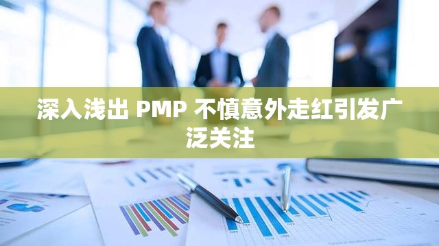 深入浅出 PMP 不慎意外走红引发广泛关注