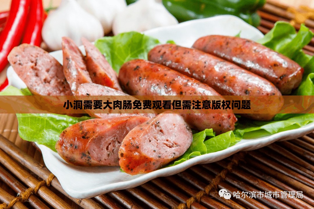 小洞需要大肉肠免费观看但需注意版权问题