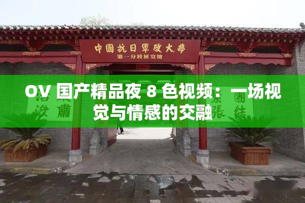 OV 国产精品夜 8 色视频：一场视觉与情感的交融