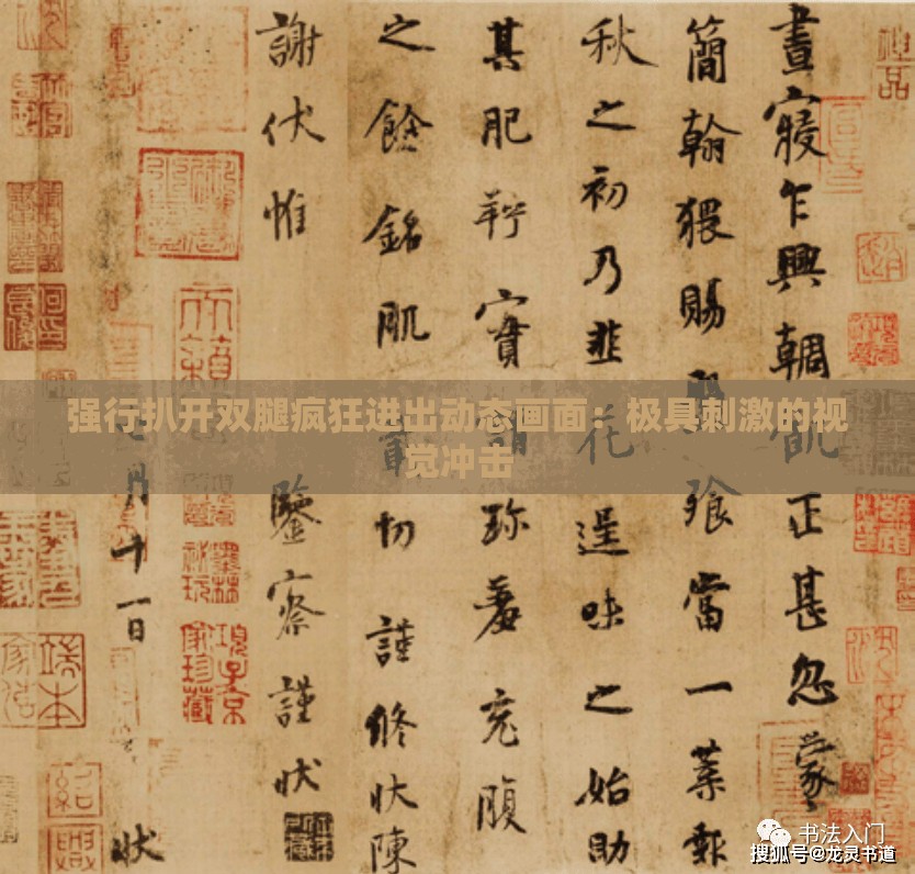 强行扒开双腿疯狂进出动态画面：极具刺激的视觉冲击