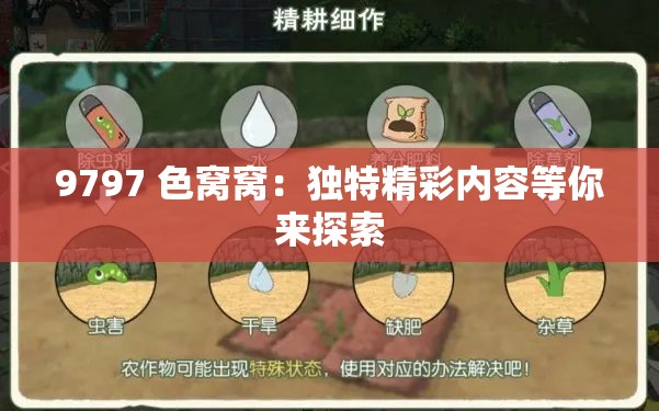 9797 色窝窝：独特精彩内容等你来探索