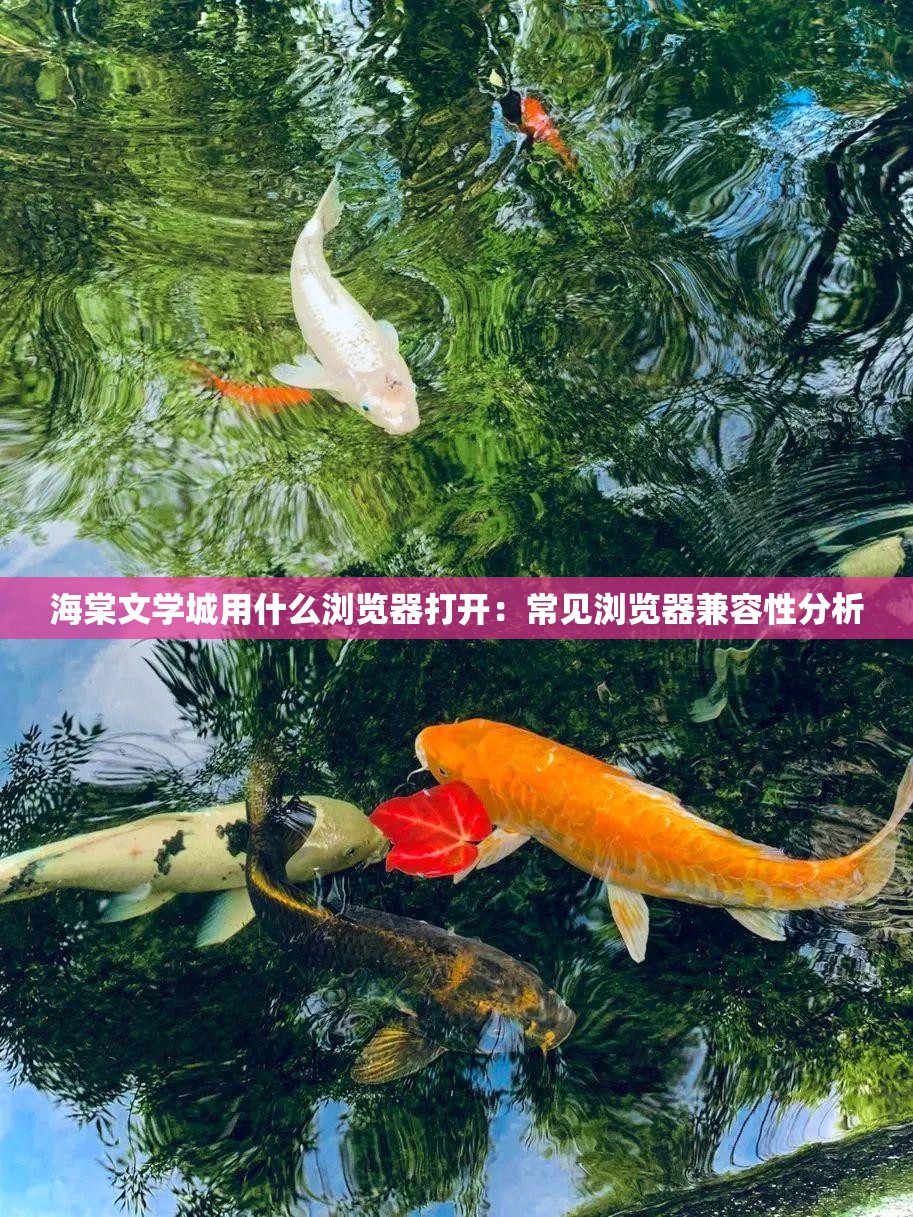 海棠文学城用什么浏览器打开：常见浏览器兼容性分析