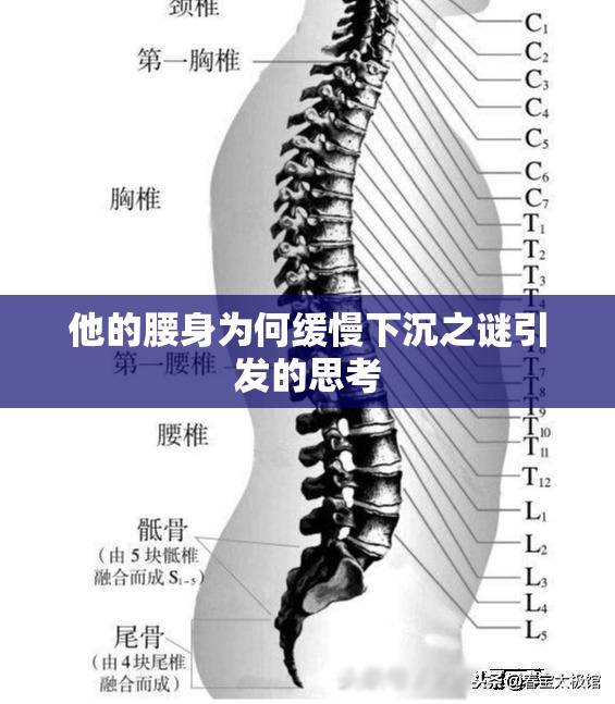 他的腰身为何缓慢下沉之谜引发的思考