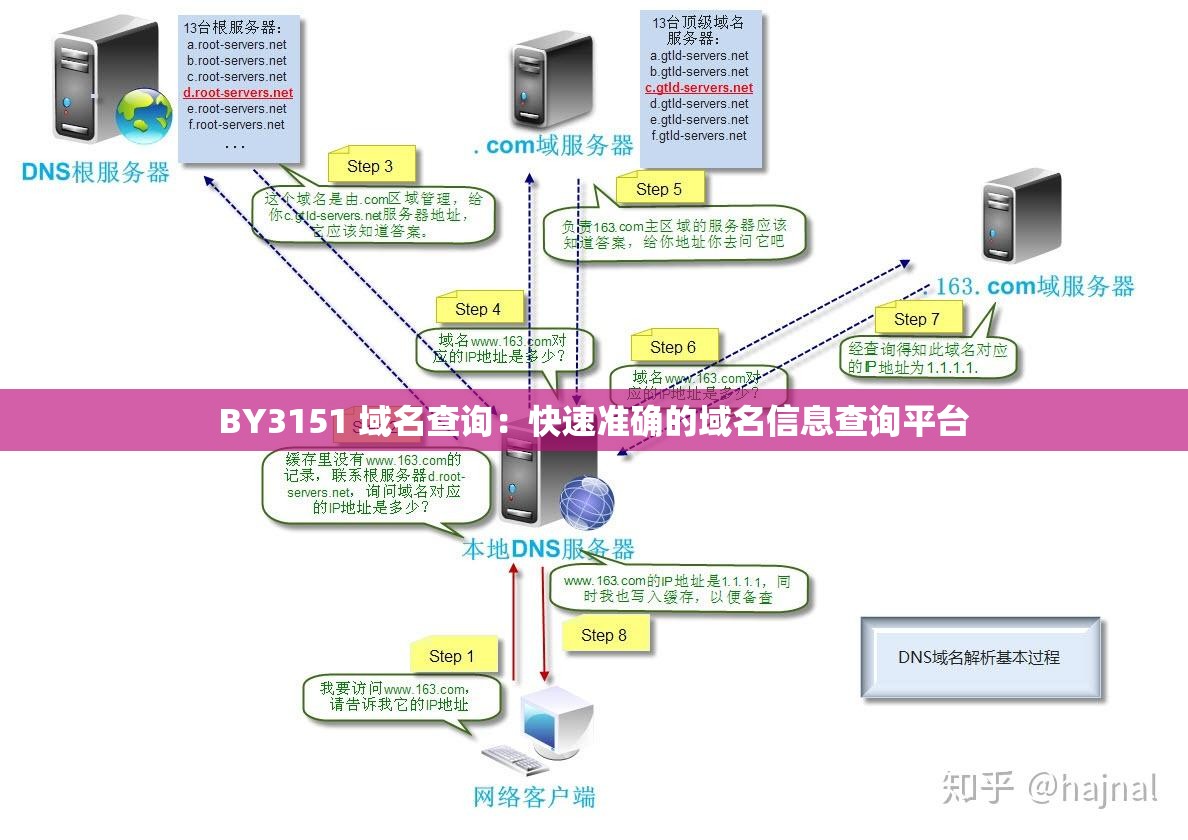 BY3151 域名查询：快速准确的域名信息查询平台