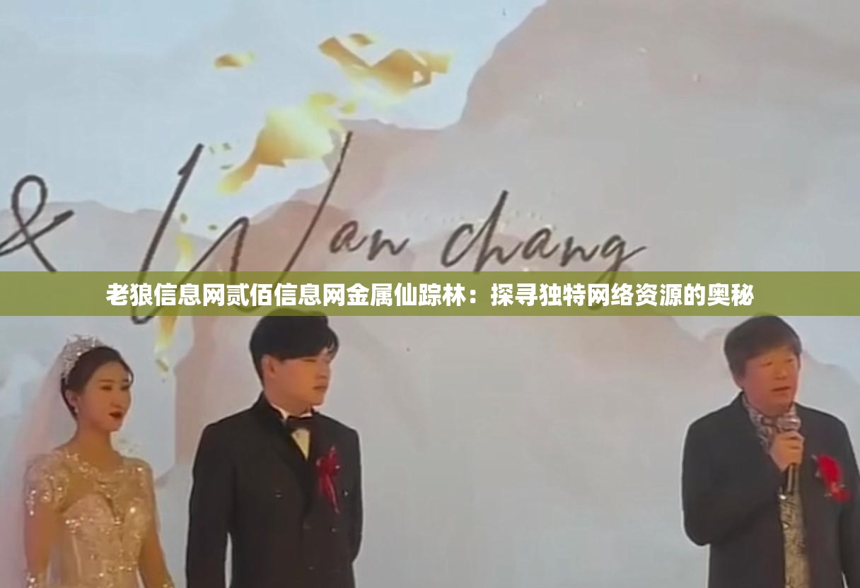 老狼信息网贰佰信息网金属仙踪林：探寻独特网络资源的奥秘