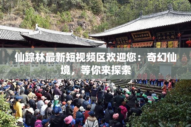 仙踪林最新短视频区欢迎您：奇幻仙境，等你来探索