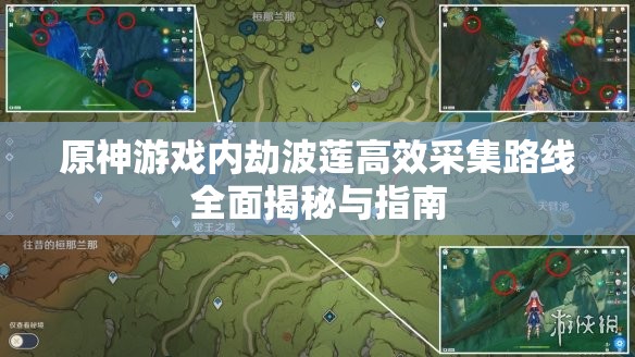 原神游戏内劫波莲高效采集路线全面揭秘与指南