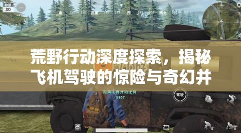 荒野行动深度探索，揭秘飞机驾驶的惊险与奇幻并存之旅