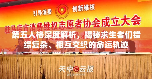 第五人格深度解析，揭秘求生者们错综复杂、相互交织的命运轨迹