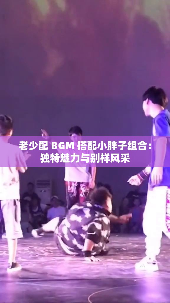 老少配 BGM 搭配小胖子组合：独特魅力与别样风采