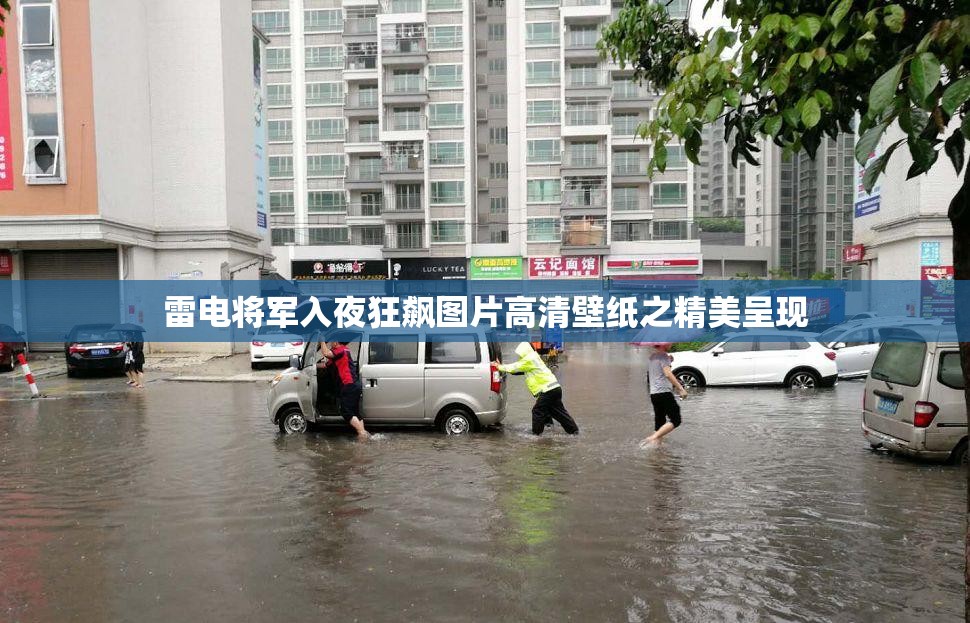 雷电将军入夜狂飙图片高清壁纸之精美呈现