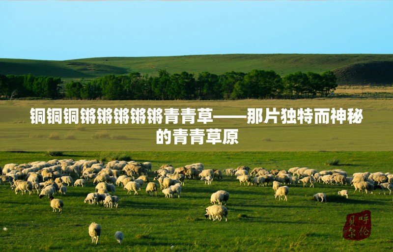 铜铜铜锵锵锵锵锵青青草——那片独特而神秘的青青草原
