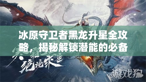 冰原守卫者黑龙升星全攻略，揭秘解锁潜能的必备材料及方法