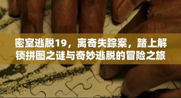 密室逃脱19，离奇失踪案，踏上解锁拼图之谜与奇妙逃脱的冒险之旅