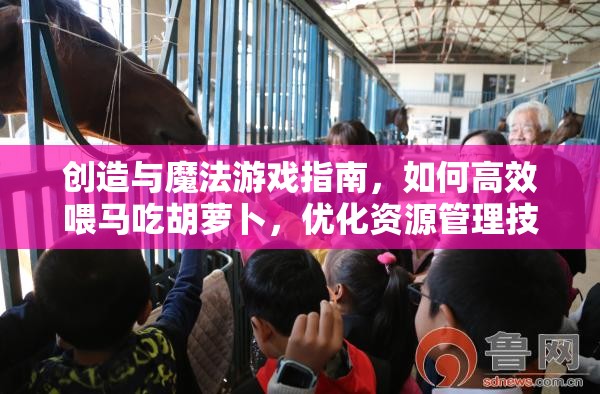 创造与魔法游戏指南，如何高效喂马吃胡萝卜，优化资源管理技巧，避免浪费并最大化其价值
