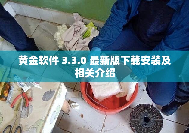 黄金软件 3.3.0 最新版下载安装及相关介绍