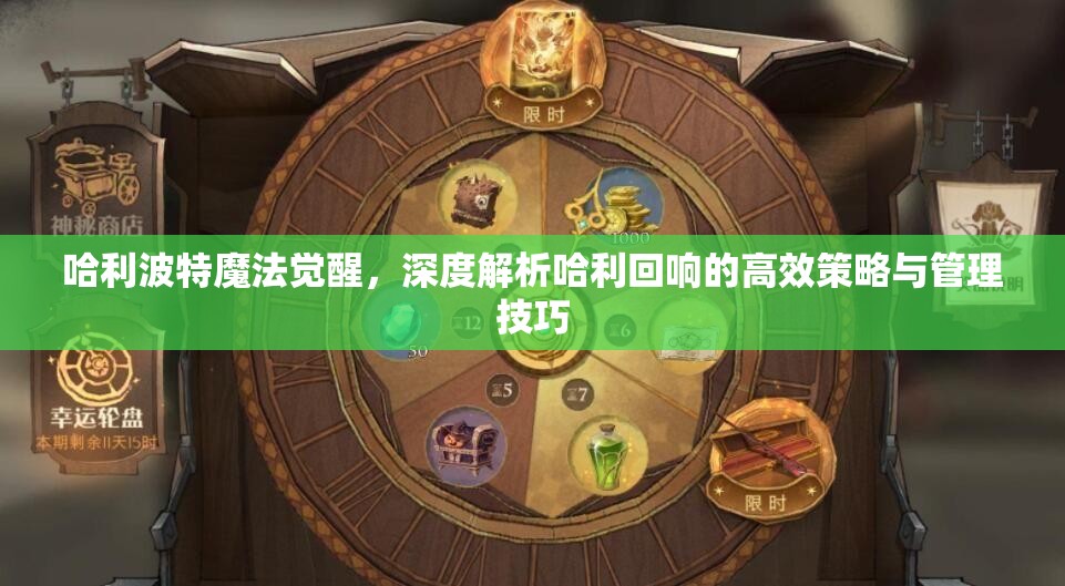 哈利波特魔法觉醒，深度解析哈利回响的高效策略与管理技巧