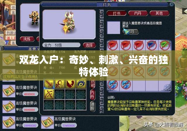 双龙入户：奇妙、刺激、兴奋的独特体验