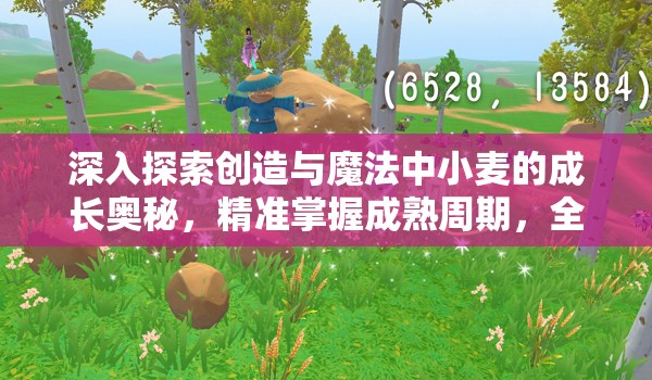 深入探索创造与魔法中小麦的成长奥秘，精准掌握成熟周期，全面享受种植带来的无限乐趣