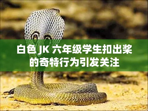 白色 JK 六年级学生扣出桨的奇特行为引发关注