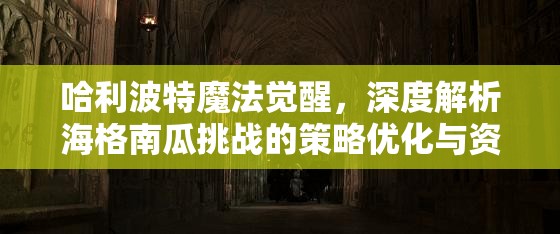哈利波特魔法觉醒，深度解析海格南瓜挑战的策略优化与资源管理技巧