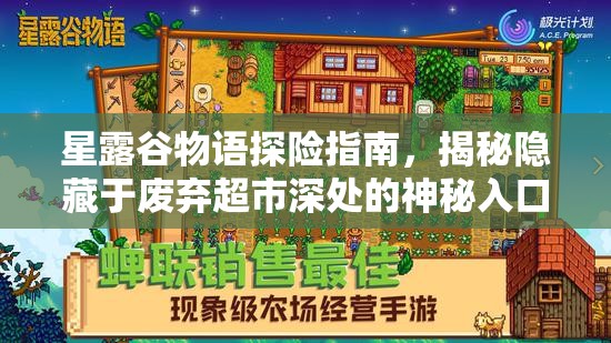 星露谷物语探险指南，揭秘隐藏于废弃超市深处的神秘入口