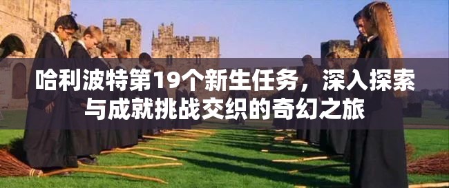 哈利波特第19个新生任务，深入探索与成就挑战交织的奇幻之旅