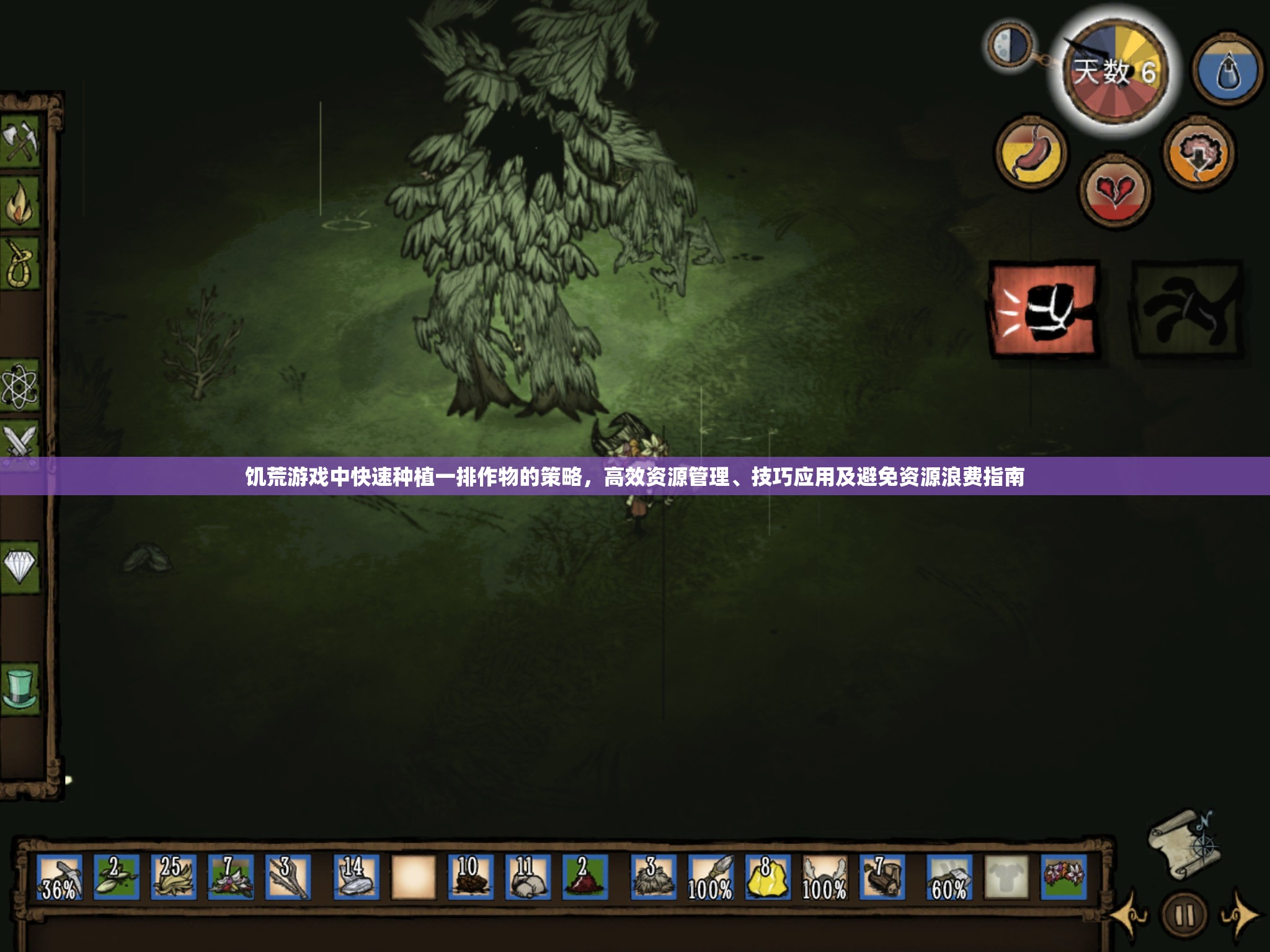 饥荒游戏中快速种植一排作物的策略，高效资源管理、技巧应用及避免资源浪费指南