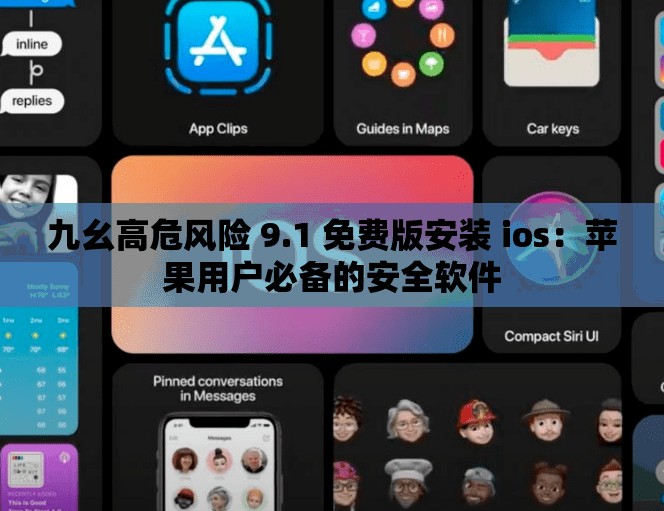 九幺高危风险 9.1 免费版安装 ios：苹果用户必备的安全软件