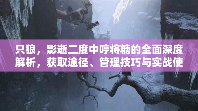 只狼，影逝二度中哼将糖的全面深度解析，获取途径、管理技巧与实战使用策略