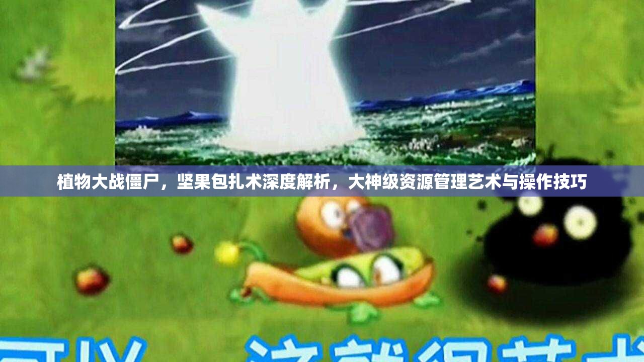 植物大战僵尸，坚果包扎术深度解析，大神级资源管理艺术与操作技巧