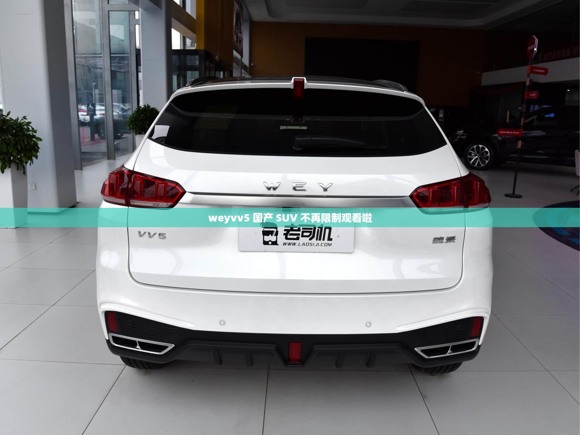 weyvv5 国产 SUV 不再限制观看啦