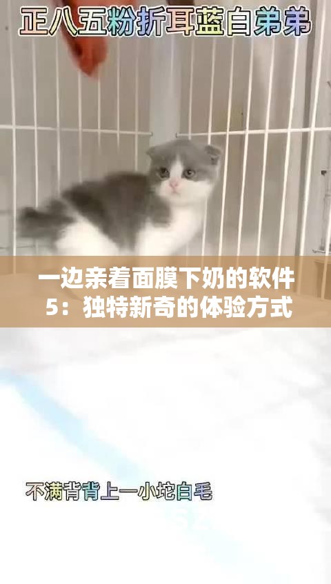 一边亲着面膜下奶的软件 5：独特新奇的体验方式