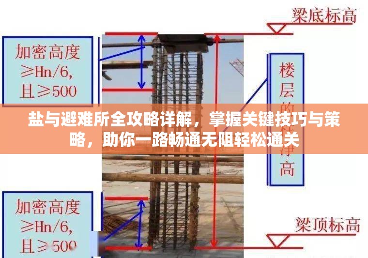盐与避难所全攻略详解，掌握关键技巧与策略，助你一路畅通无阻轻松通关