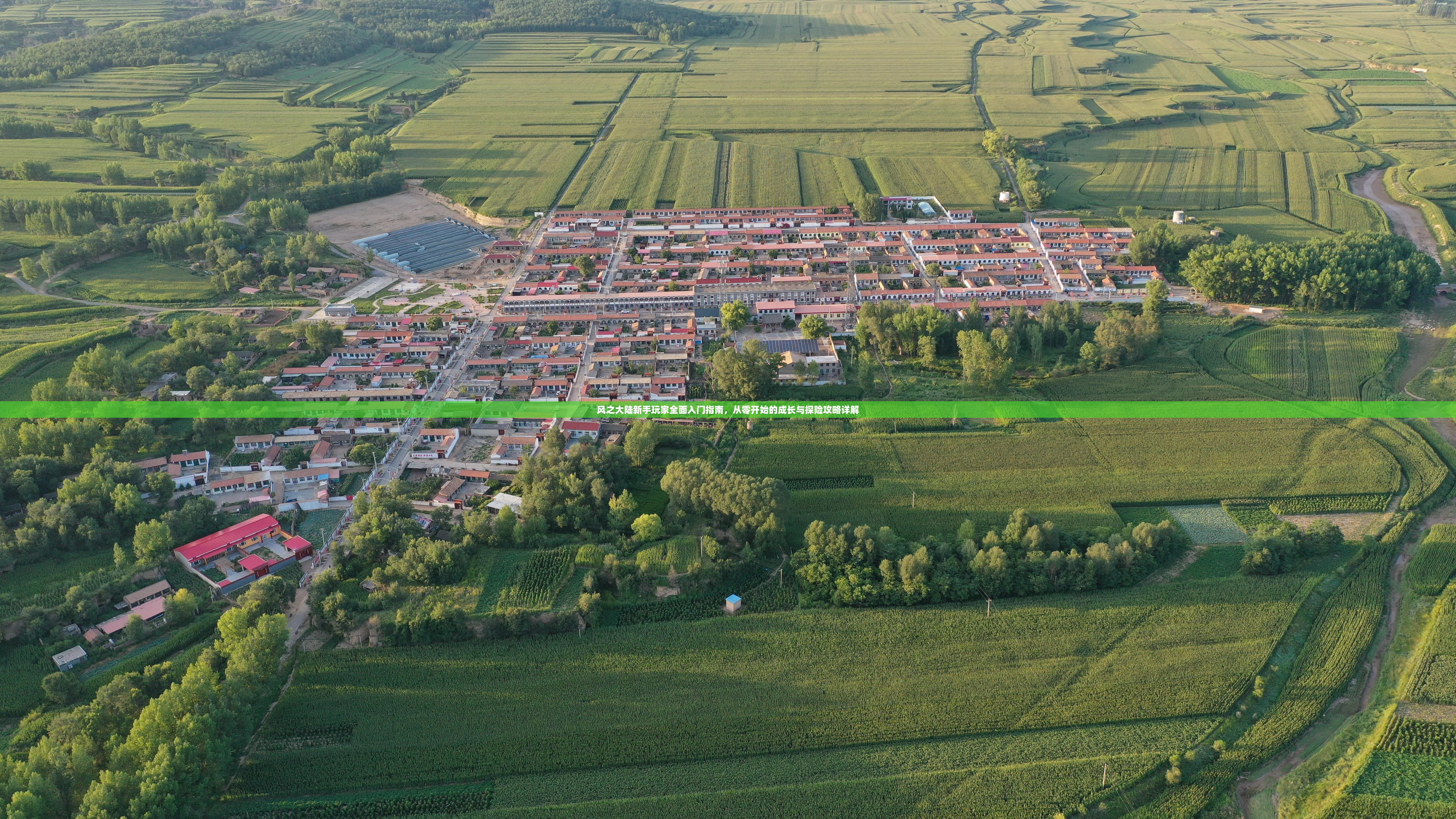 风之大陆新手玩家全面入门指南，从零开始的成长与探险攻略详解