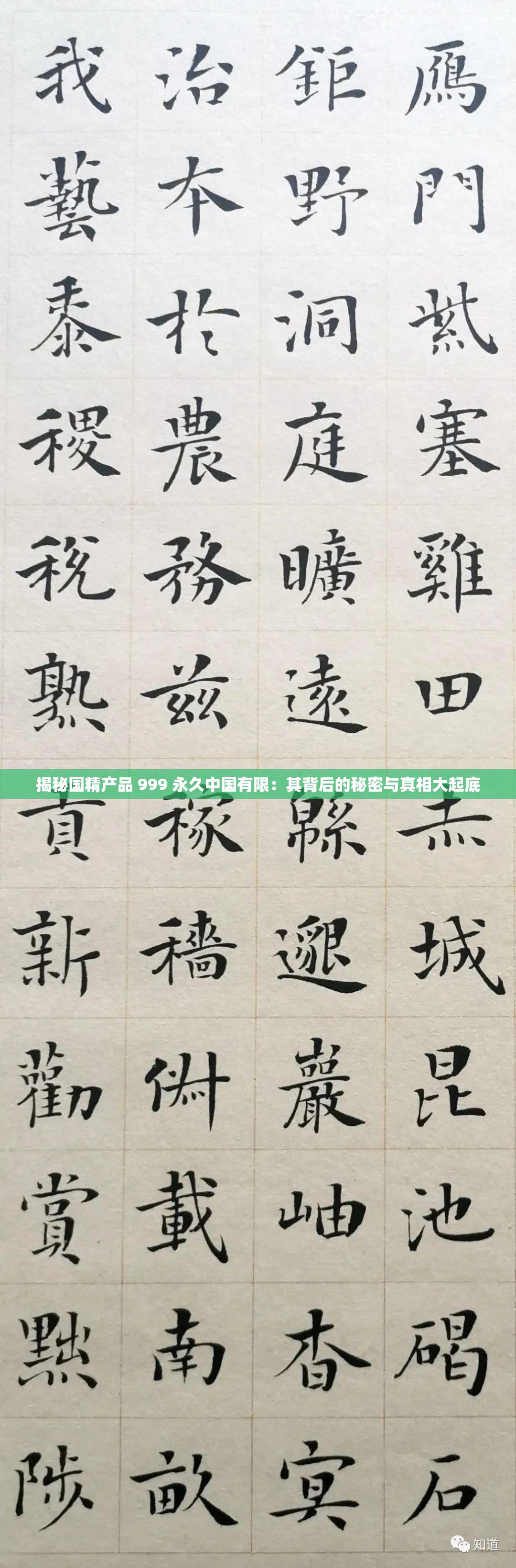 揭秘国精产品 999 永久中国有限：其背后的秘密与真相大起底