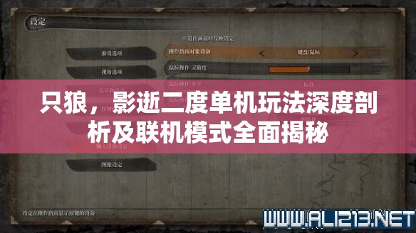 只狼，影逝二度单机玩法深度剖析及联机模式全面揭秘