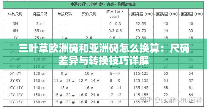 三叶草欧洲码和亚洲码怎么换算：尺码差异与转换技巧详解