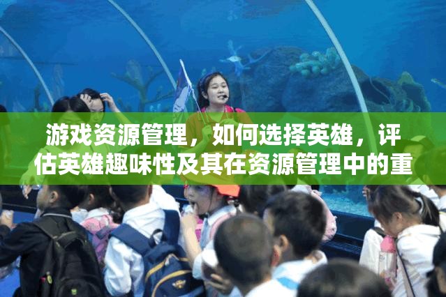 游戏资源管理，如何选择英雄，评估英雄趣味性及其在资源管理中的重要性与策略