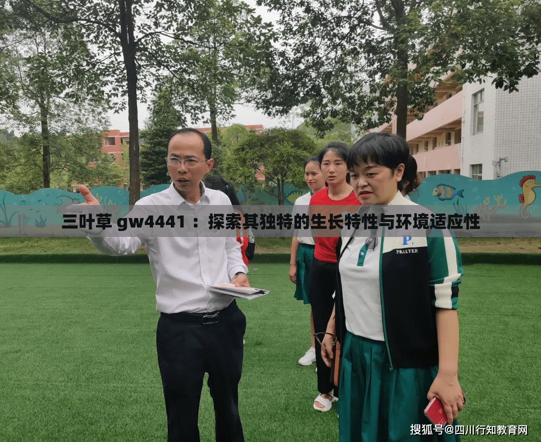 三叶草 gw4441 ：探索其独特的生长特性与环境适应性