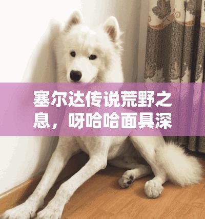 塞尔达传说荒野之息，呀哈哈面具深度解析，探索资源管理的极致艺术