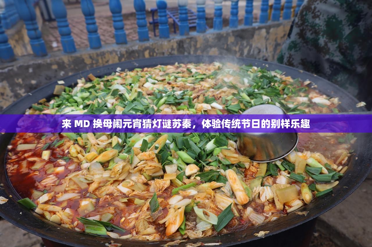 来 MD 换母闹元宵猜灯谜苏秦，体验传统节日的别样乐趣
