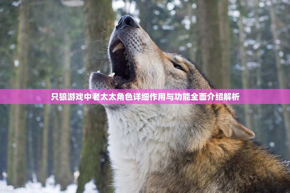 只狼游戏中老太太角色详细作用与功能全面介绍解析