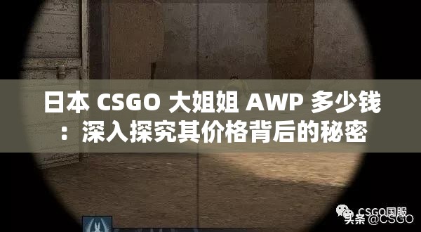 日本 CSGO 大姐姐 AWP 多少钱：深入探究其价格背后的秘密