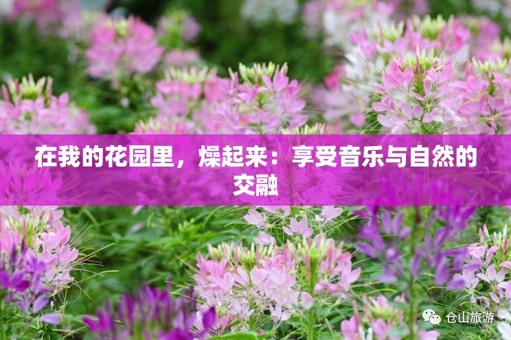 在我的花园里，燥起来：享受音乐与自然的交融