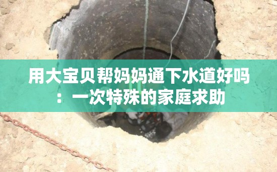 用大宝贝帮妈妈通下水道好吗：一次特殊的家庭求助
